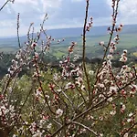 Il Glicine بيت للعطل *